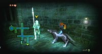 The Legend of Zelda: Twilight Princess (Wii)