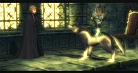 The Legend of Zelda: Twilight Princess (Wii)