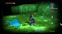 The Legend of Zelda: Twilight Princess (Wii)