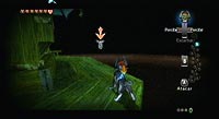 The Legend of Zelda: Twilight Princess (Wii)