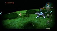 The Legend of Zelda: Twilight Princess (Wii)