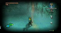 The Legend of Zelda: Twilight Princess (Wii)