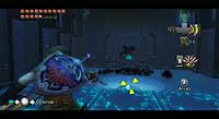 The Legend of Zelda: Twilight Princess (Wii)