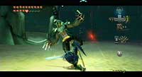 The Legend of Zelda: Twilight Princess (Wii)