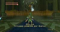 The Legend of Zelda: Twilight Princess (Wii)