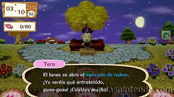 Animal Crossing: amiibo Festival