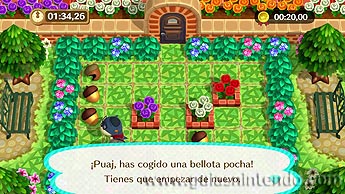 Animal Crossing: amiibo Festival
