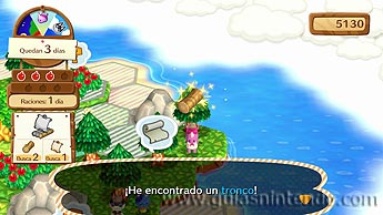 Animal Crossing: amiibo Festival