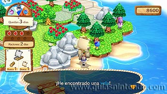 Animal Crossing: amiibo Festival