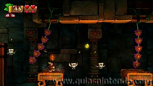 Donkey Kong Country: Tropical Freeze