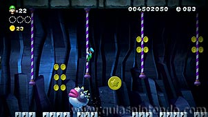 New Super Luigi U