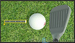 Wii Sports Club