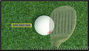 Wii Sports Club