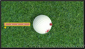 Wii Sports Club