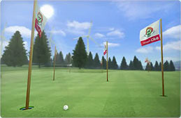 Wii Sports Club