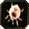 The Legend of Zelda: Twilight Princess HD
