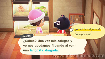 Animal Crossing: New Horizons