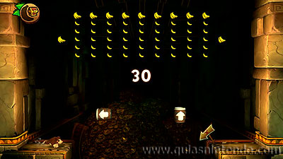 Donkey Kong Country: Tropical Freeze