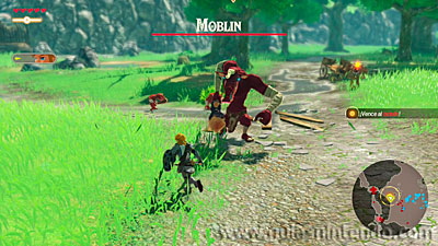 Hyrule Warriors: La era del cataclismo