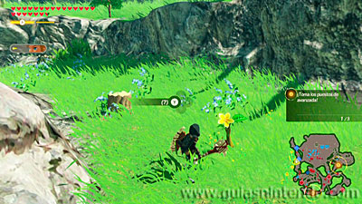 Hyrule Warriors: La era del cataclismo
