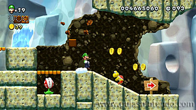New Super Mario Bros. U Deluxe