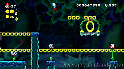 New Super Mario Bros. U Deluxe