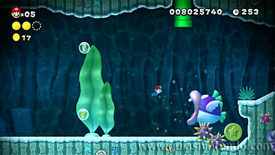 New Super Mario Bros. U Deluxe