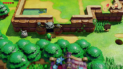The Legend of Zelda: Link's Awakening