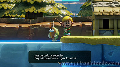The Legend of Zelda: Link's Awakening