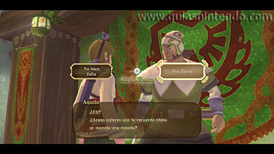 The Legend of Zelda: Skyward Sword HD