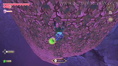 The Legend of Zelda: Skyward Sword HD
