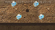 Guías Nintendo