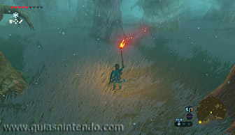 The Legend of Zelda: Breath of the Wild