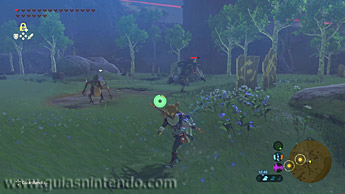 The Legend of Zelda: Breath of the Wild