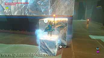 The Legend of Zelda: Breath of the Wild