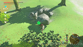 The Legend of Zelda: Breath of the Wild