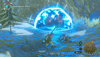 The Legend of Zelda: Breath of the Wild