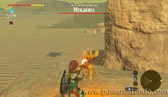 The Legend of Zelda: Breath of the Wild