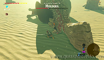 The Legend of Zelda: Breath of the Wild