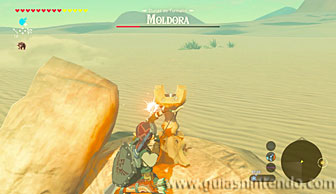The Legend of Zelda: Breath of the Wild