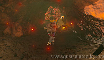 The Legend of Zelda: Breath of the Wild