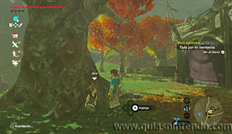 The Legend of Zelda: Breath of the Wild