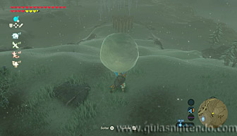 The Legend of Zelda: Breath of the Wild