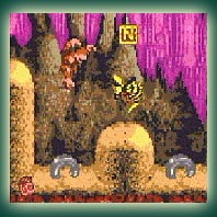 Donkey Kong Country