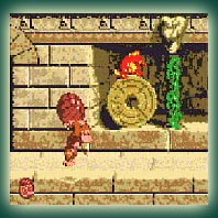 Donkey Kong Country
