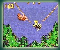Donkey Kong Country