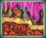 Donkey Kong Country