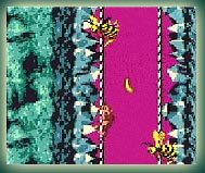 Donkey Kong Country