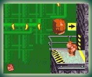 Donkey Kong Country