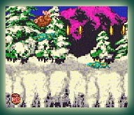 Donkey Kong Country